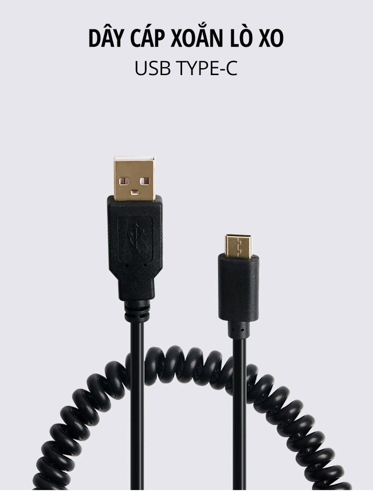 cap xoan usb type c 1 01